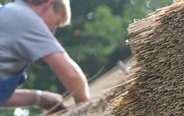 professional Llanbethery thatchers