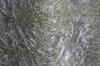 Llanbethery fibreglass roof work