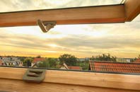 rated Llanbethery roof window companies